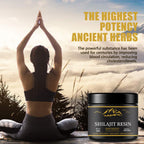 Shilajit Resin Health Supplement Paste